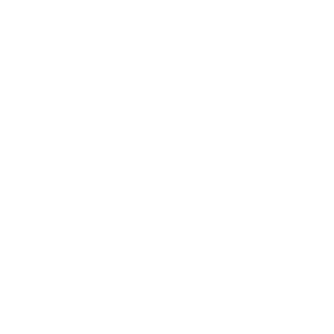 E-commerce Growth Partner Logo